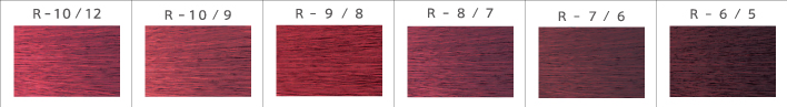 Promaster Ruby