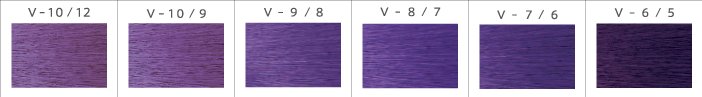 Promaster Violet
