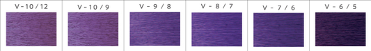 Promaster Violet