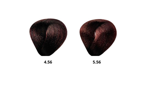 BES HI FI Mahogany Red